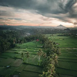 Pensjonat Ayu Duwur Beji